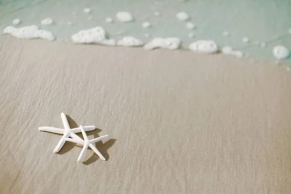 Par de estrelas do mar na praia — Fotografia de Stock