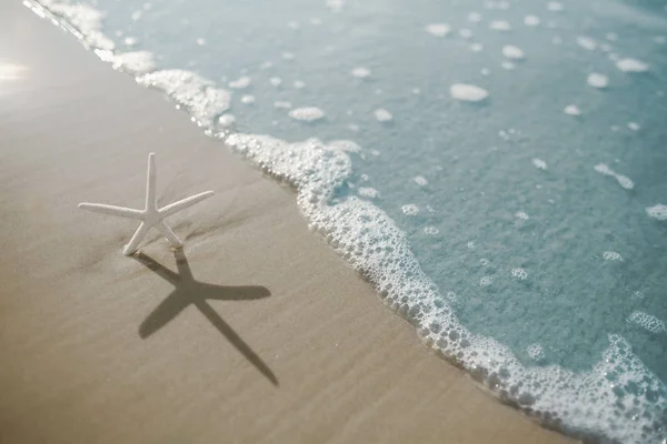 Starfish on the beach — Stock Photo, Image