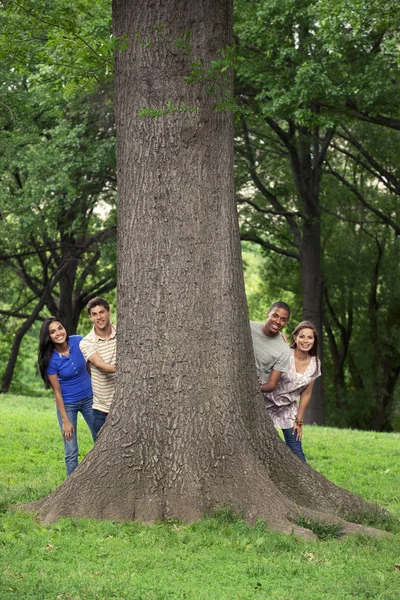 Tonåriga vänner umgås tillsammans på tree — Stockfoto