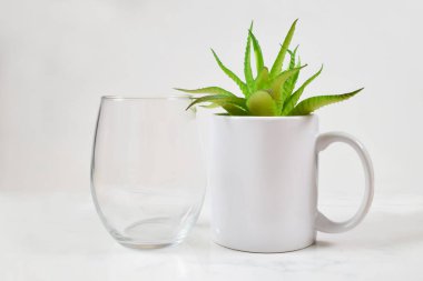 Bu kupa 11 ons kahve fincanının yanında sapsız bir şarap bardağı içeriyor. Neşeli yeşil bir aloe vera bitkisi kupanın içinde duruyor. Kopyalama alanı çok.