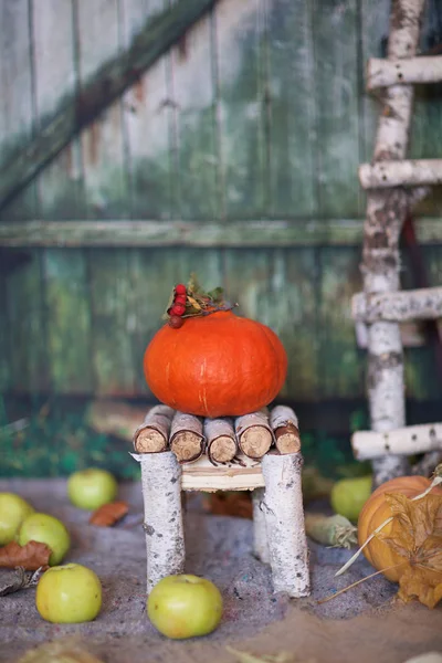 Zucca arancione su una sedia fatta a mano. Primo piano — Foto Stock