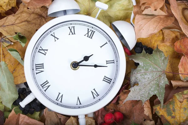 Relógio vintage em folhas secas — Fotografia de Stock