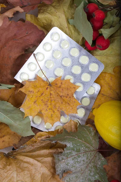 Pillole e frutti su foglie secche — Foto Stock