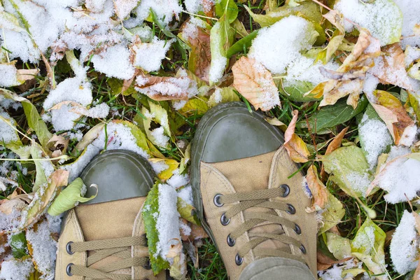 Winter is aangekomen — Stockfoto