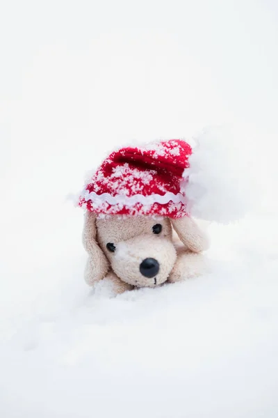 Pequeno cão de pelúcia em chapéu de Santa — Fotografia de Stock
