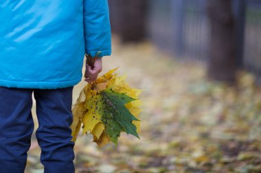 Sarı akçaağaç grup ile altı yaşında çocuk sonbahar parkta bırakır. Portre