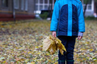 Sarı akçaağaç grup ile altı yaşında çocuk sonbahar parkta bırakır. Portre
