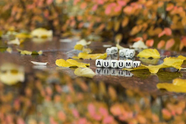 Jesienią słowo składa się z litery. — Zdjęcie stockowe