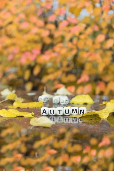 Φθινόπωρο λέξη αποτελείται από ξύλινα γράμματα. — Φωτογραφία Αρχείου