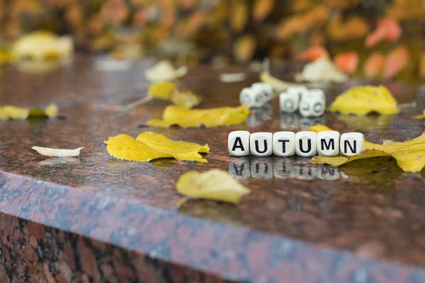 Φθινόπωρο λέξη αποτελείται από ξύλινα γράμματα. — Φωτογραφία Αρχείου