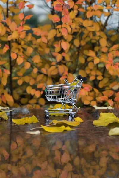 Mini carrito de compras en una piedra de mármol húmedo en el período de otoño . — Foto de Stock