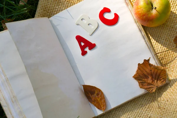 Buch und roter Apfel auf grünem Gras. — Stockfoto