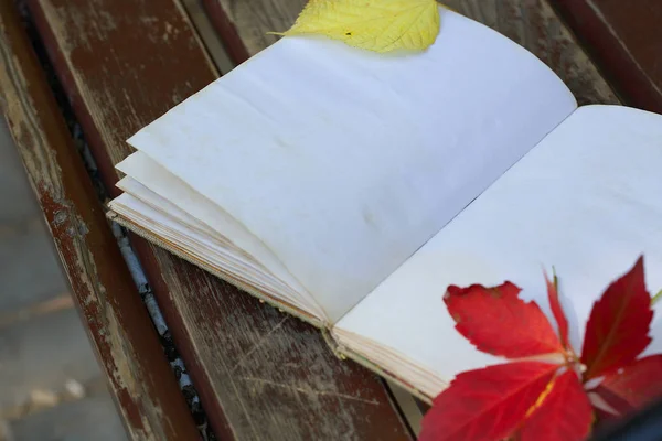 Libro abierto con hojas coloridas de otoño en un banco marrón . — Foto de Stock