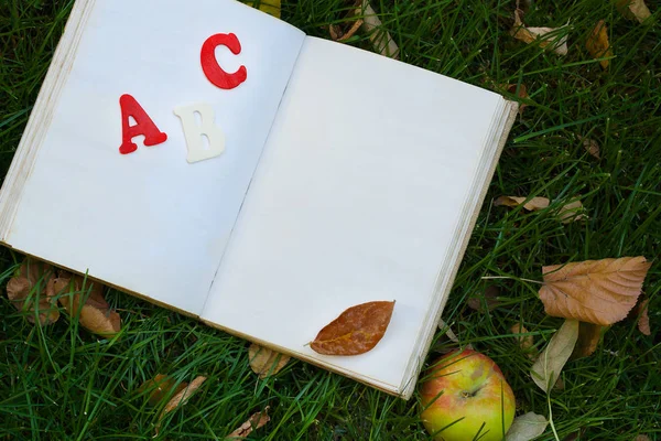 书和一个红苹果在绿草. — 图库照片