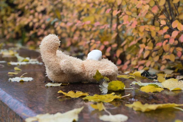 Brauner Plüsch-Teddybär auf nassem Marmorstein verloren lizenzfreie Stockbilder