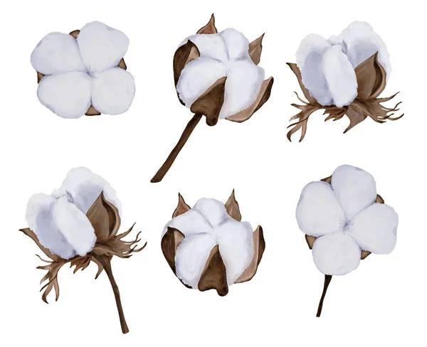 Conjunto de desenhos animados de algodão com flores e ramos — Fotografia de Stock