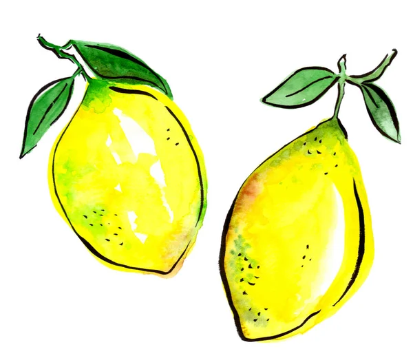 Δύο λεμόνια με φύλλα απομονωμένα, ζωγραφισμένα στο χέρι. Σχεδιασμός κουζίνας. — Φωτογραφία Αρχείου