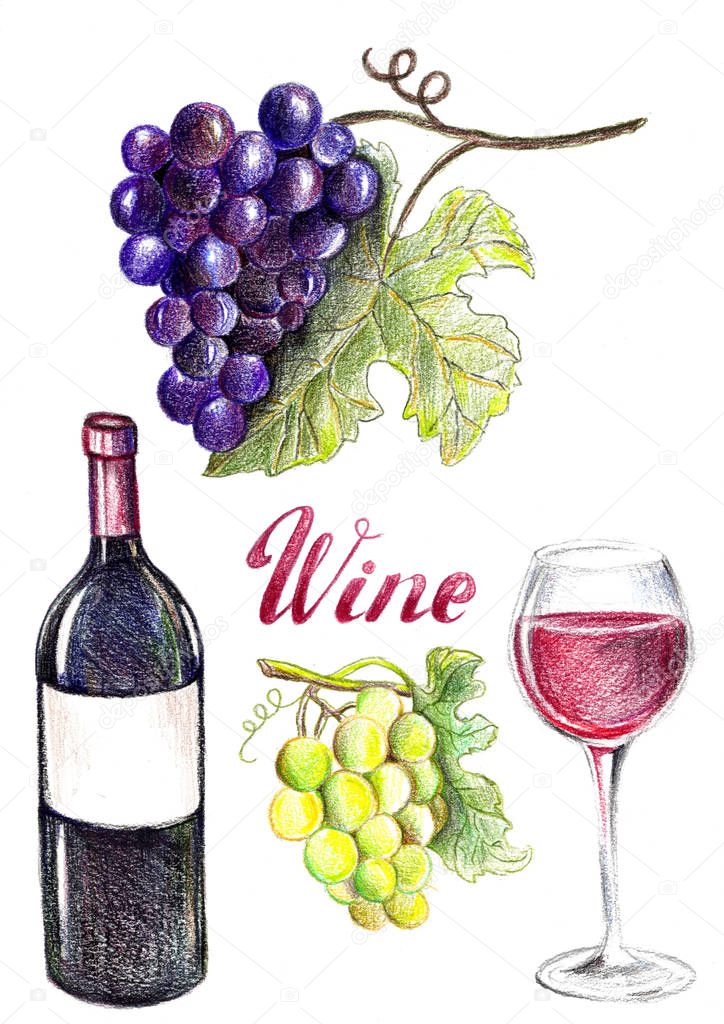 Hand drawn wine set, violet grapes, white grapes, red wine, glass.