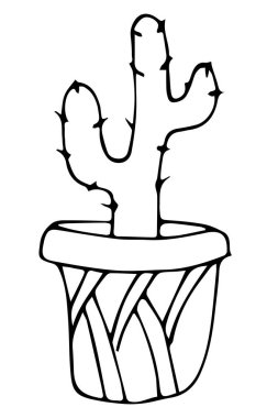 Kaktüs saguaro, mürekkep kabın içine çizilmiş bitki.