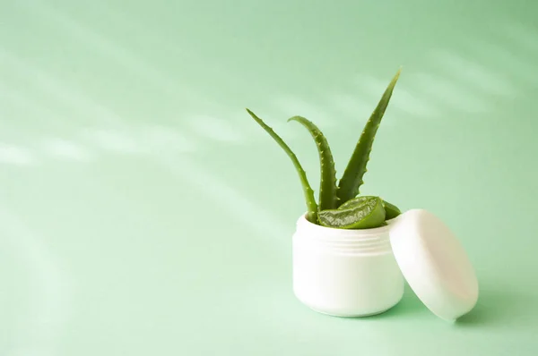 Aloe Vera krema için beyaz kavanoza dilimler. Doğal cilt bakımı. Yeşil renk, boşluğu kopyala.