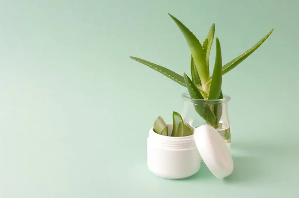 Kavanozda Aloe Vera, krema kutusunda aloe dilimleri. Doğal kozmetik, organik. Boşluğu kopyala, yeşil arkaplan.