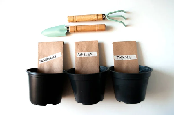 Biberiye tohumu, kekik, maydanoz. Ev bahçesindeki bitkiler. Ekme aletleri, siyah tencereler. mevsimsel