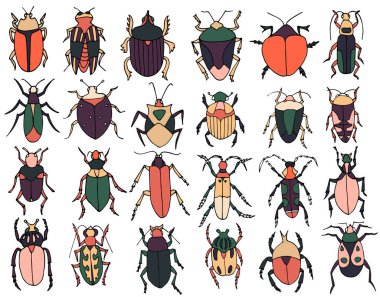 Böcekler hazır, böcekler ana hat vektörü, ikonlar. Egzotik böcek koleksiyonu. El çizimi karalama tarzı, renkli. Beyaz arkaplanda izole.