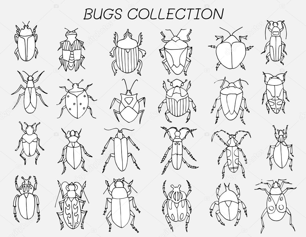 Insect flat line icons set. bugs, vector illustrations. coloring book page. Wild nature. Doodle.