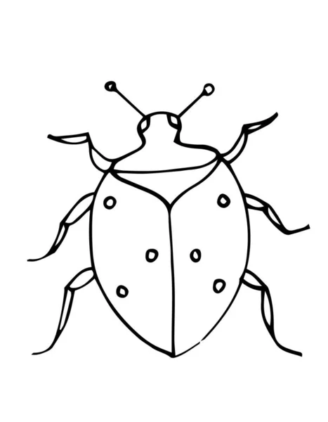 Desenho Livro Para Colorir Com Bug Esboço Ilustração Vetorial Doodle —  Vetores de Stock