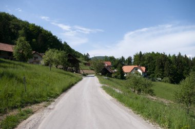 Slovenya 'da bahar zamanı, köyün içinden geçen bir yol. Manzara görüntüsü. Orman ve evler. Arkadaki mavi gökyüzü.