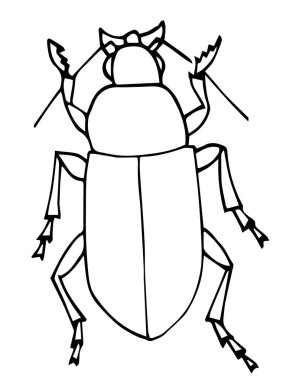Çocuklar için böcek boyama sayfası, vektör illüstrasyonu, el çizimi.