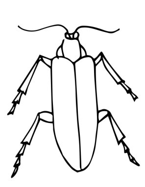 Böcek, böcek ana hat vektörü, simge. Beyaz arka planda izole edilmiş. Renk sayfası.