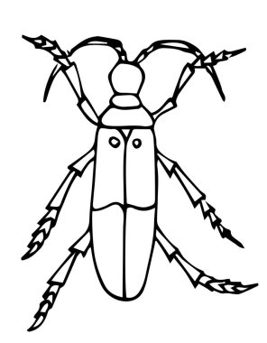 Böcekli kitap sayfası, vektör illüstrasyonu. Doodle tarzı el çizimi. İzole edilmiş.