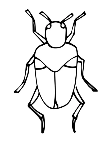 Besouro, insecto, vetor de contorno, ícone. Desenho de livro para colorir. estilo doodle desenhado à mão, isolado . —  Vetores de Stock