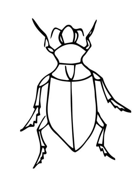 Vettore di contorno bug. Disegno da colorare per bambini. Esotico bug collection.hand disegnato in stile doodle, isolato . — Vettoriale Stock