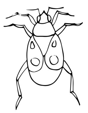 Böcek boyama kitabı sayfası, vektör ana hatları çizim hatası.