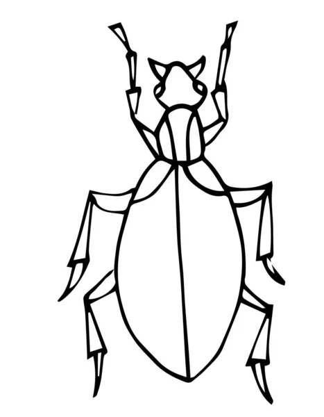 Vektorillustration des Käfers, isoliert auf weißem Hintergrund, Malbuchseite. — Stockvektor