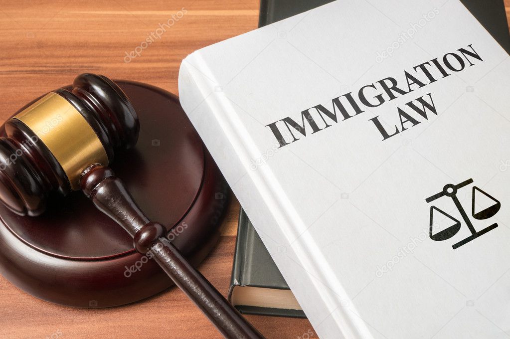 Immigration law book and gavel. Consumer protection book and gavel. Law and regulations concept.