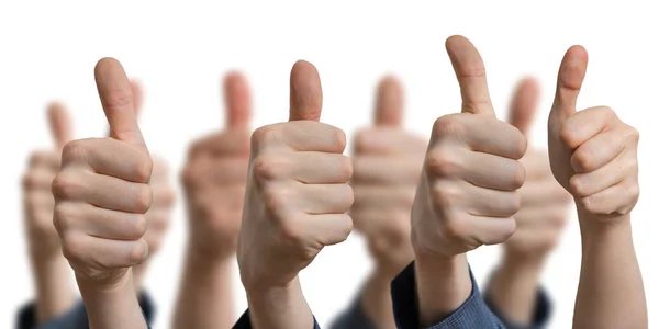 Many thumbs up on white background. Success and consent concept. — Stock Photo, Image