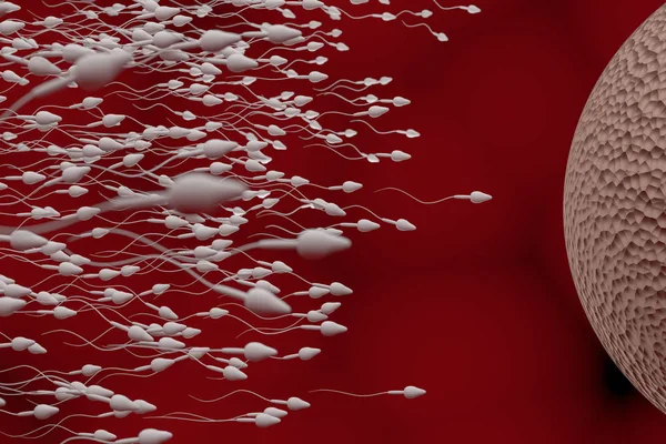 Spermatozoi e ovuli. Concetto di fertilizzazione. Illustrazione resa 3D . — Foto Stock