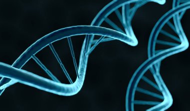 Dna molekülünün portre görünümünde. 3D render illüstrasyon.