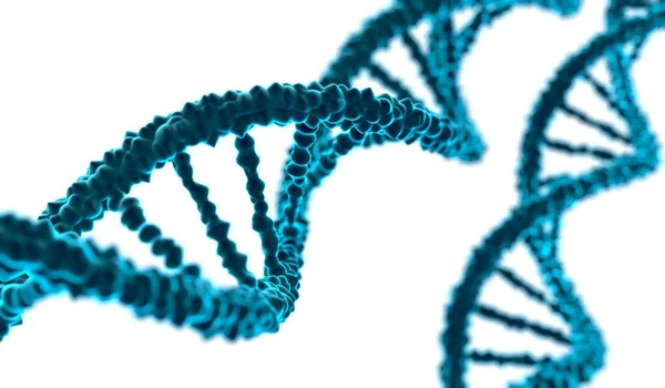 Ilustración 3D de la molécula de ADN sobre fondo blanco . — Foto de Stock