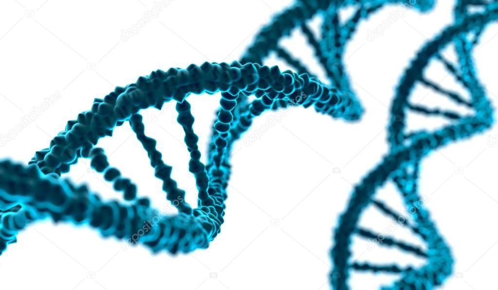 3D rendered illustration of DNA molecule on white background.