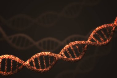 DNA çift sarmalı molekülleri siyah arka plan üzerine. 3D render illüstrasyon.
