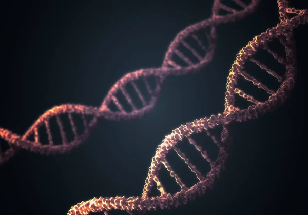 DNA çift sarmalı molekülleri siyah arka plan üzerine. 3D render illüstrasyon. — Stok fotoğraf