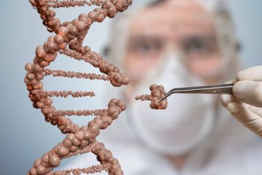 Bilim adamı bir Dna molekülü parçası yerini almaktadır. Genetik mühendisliği ve gen manipülasyon kavramı.