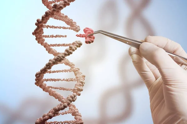 Genetic engineering and gene manipulation concept. Hand is replacing part of a DNA molecule. — Stock Photo, Image