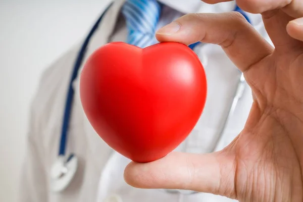 Cardiologista médico está mostrando coração vermelho . — Fotografia de Stock