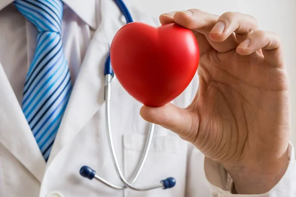 Kardiológus orvos a kezében tartja a piros szív. — Stock Fotó
