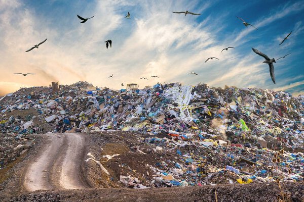 Pollution concept. Garbage pile in trash dump or landfill. Birds flying around.